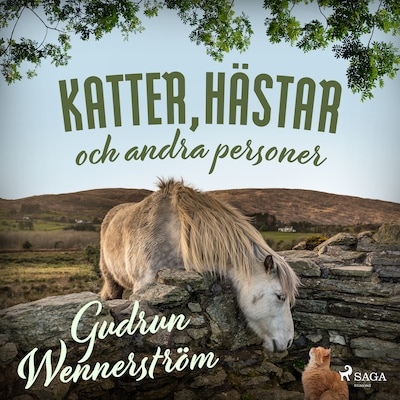 Katter, hästar och andra personer
