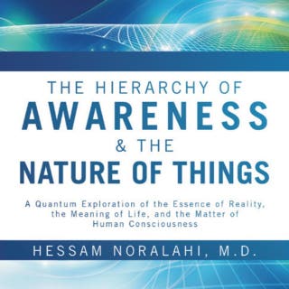 The Hierarchy of Awareness & The Nature of Things: Understanding Consciousness, Reality, and the Human Journey – omslag till ljudboken av Hessam Noralahi, MD