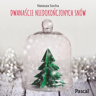 Dwanaście niedokończonych snów – okładka audiobooka, autor Natasza Socha