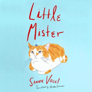 Little Mister: A Novel