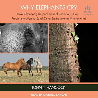Why Elephants Cry – omslag til lydbogen af John T. Hancock