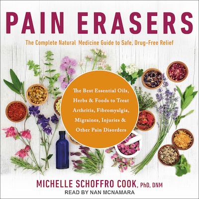 Pain Erasers – omslag til lydbogen af Michelle Schoffro Cook, PhD, DNM