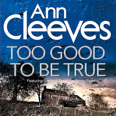 Too Good To Be True