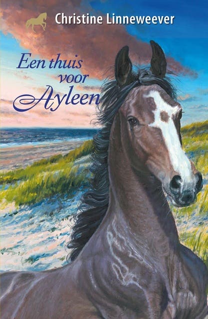 Een thuis voor Ayleen – omslag van het luisterboek van Christine Linneweever