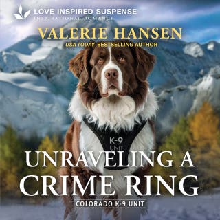 Unraveling a Crime Ring