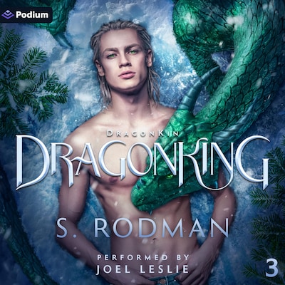 DragonKing – omslag til lydbogen af S. Rodman