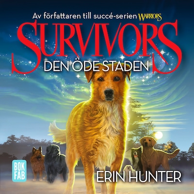 Survivors 1.1 Den öde staden
