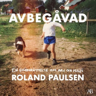Avbegåvad : en essäberättelse om arv och miljö