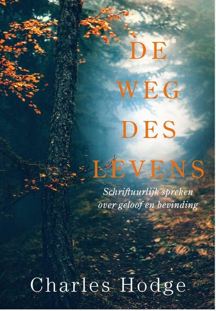 De weg des levens: Schriftuurlijk spreken over geloof en bevinding – omslag van het luisterboek van Charles Hodge