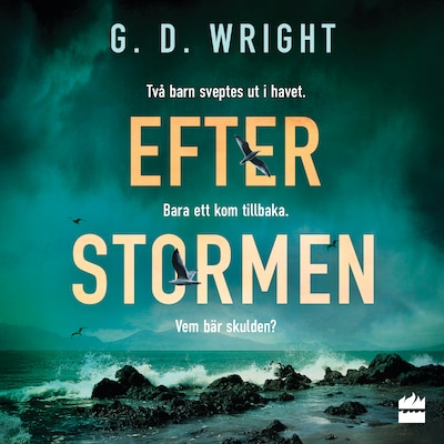 Efter stormen