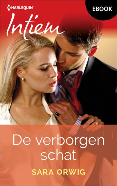 De verborgen schat – omslag van het luisterboek van Sara Orwig