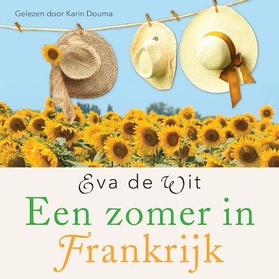 Een zomer in Frankrijk