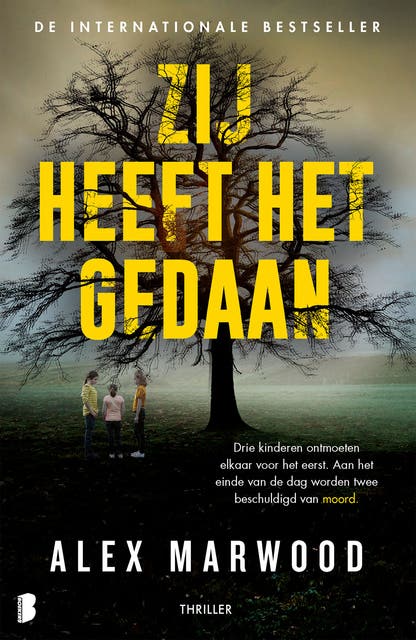Zij heeft het gedaan: Drie kinderen ontmoeten elkaar voor het eerst. Aan het einde van de dag worden twee beschuldigd van moord.