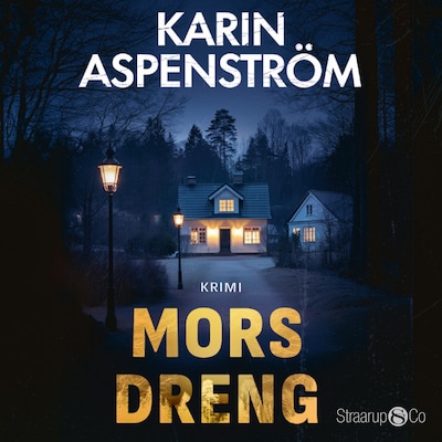 Mors dreng – omslag til lydbogen af Karin Aspenström