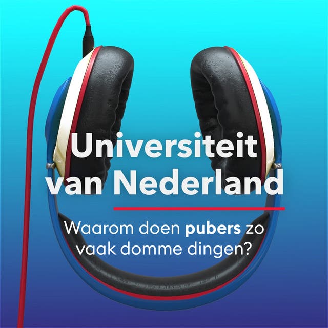 Waarom doen pubers zo vaak domme dingen? – omslag van het luisterboek van Eveline Crone