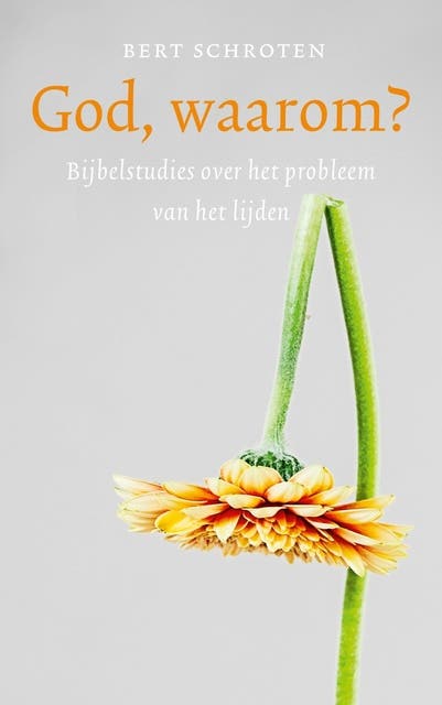 God, waarom?: Bijbelstudies over het probleem van het lijden – omslag van het luisterboek van Bert Schroten