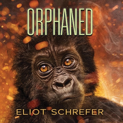 Orphaned