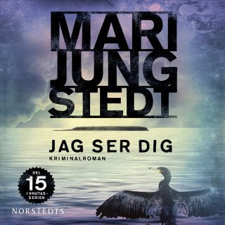 Jag ser dig