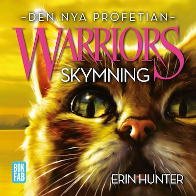Warriors - Skymning