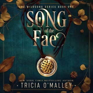 Song of The Fae: An Irish Enemies-to-Lovers Romantasy