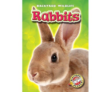 Rabbits – omslag till ljudboken av Derek Zobel