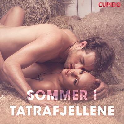 Sommer i Tatrafjellene – erotiske noveller – omslag til lydbogen af Cupido