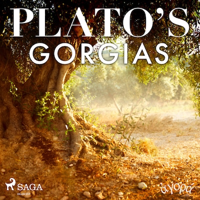 Plato’s Gorgias