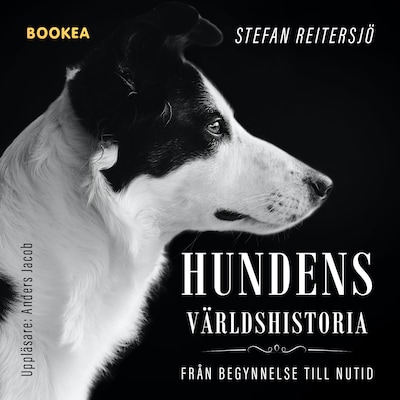 Hundens världshistoria : från begynnelse till nutid