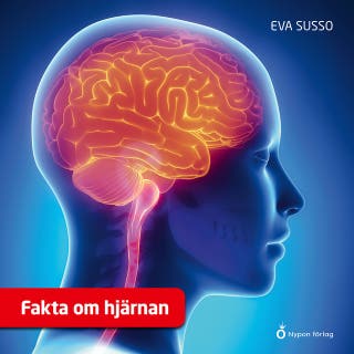 Fakta om hjärnan