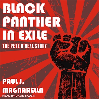 Black Panther in Exile – omslag til lydbogen af Paul J. Magnarella