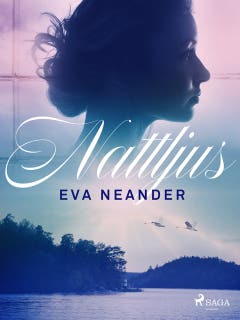 Nattljus – omslag till ljudboken av Eva Neander