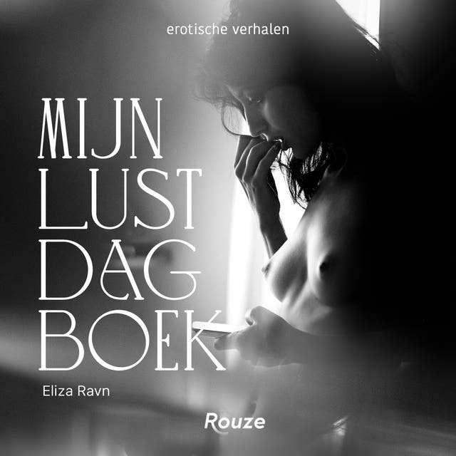 Mijn lustdagboek