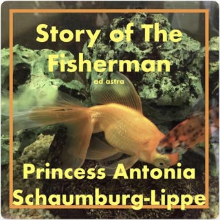 Story of The Fisherman: Ad Astra Grand Classics – omslag till ljudboken av Edward William Lane