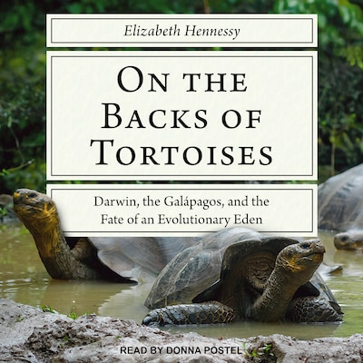 On the Backs of Tortoises – omslag til lydbogen af Elizabeth Hennessy