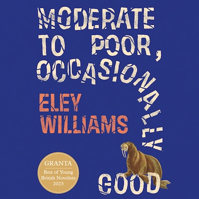 Moderate to Poor, Occasionally Good