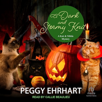 A Dark and Stormy Knit – omslag til lydbogen af Peggy Ehrhart