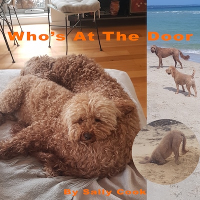 Who's  At The Door – omslag til lydbogen af Sally Cook