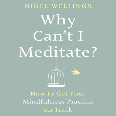 Why Can't I Meditate? – omslag til lydbogen af Nigel Wellings