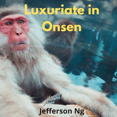 Luxuriate in Onsen