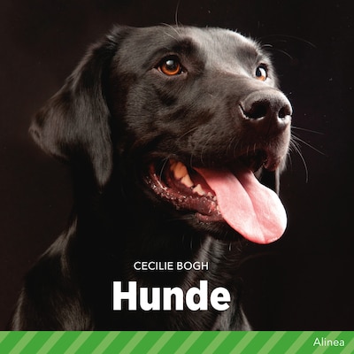 Hunde – omslag til lydbogen af Cecilie Bogh