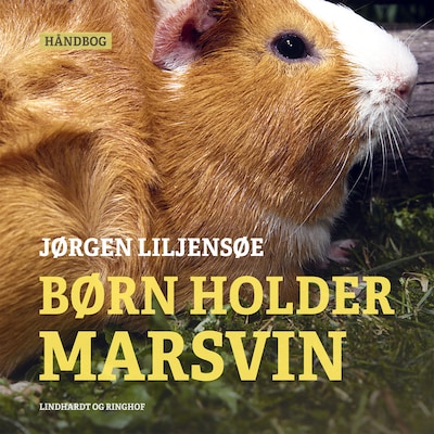 Børn holder marsvin – omslag til lydbogen af Jørgen Liljensøe