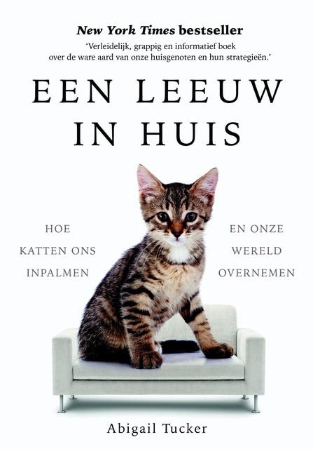 Een leeuw in huis: Hoe katten ons inpalmen en onze wereld overnemen