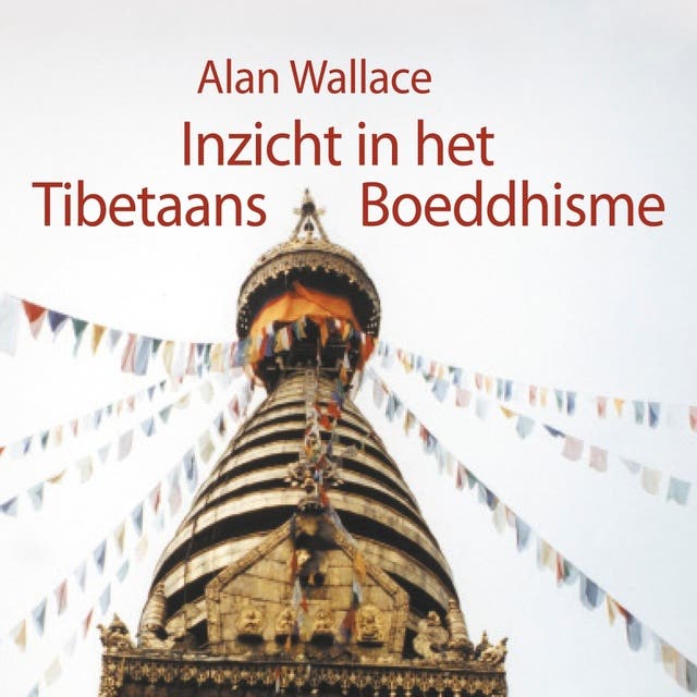 Inzicht in het Tibetaans boeddhisme: Een praktische benadering – omslag van het luisterboek van Alan Wallace,Steven van Wilhelm