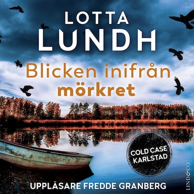 Blicken inifrån mörkret