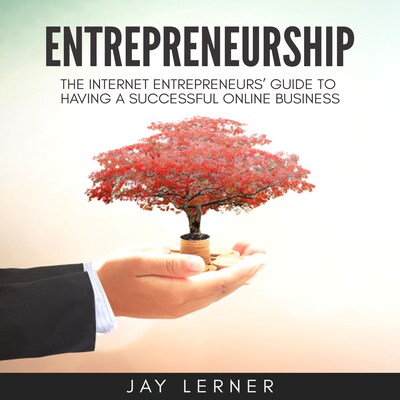 Entrepreneurship: The Internet Entrepreneurs’ Guide to Having a Successful Online Business – omslag til lydbogen af Jay Lerner