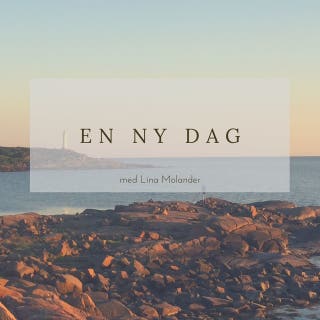 En ny dag
