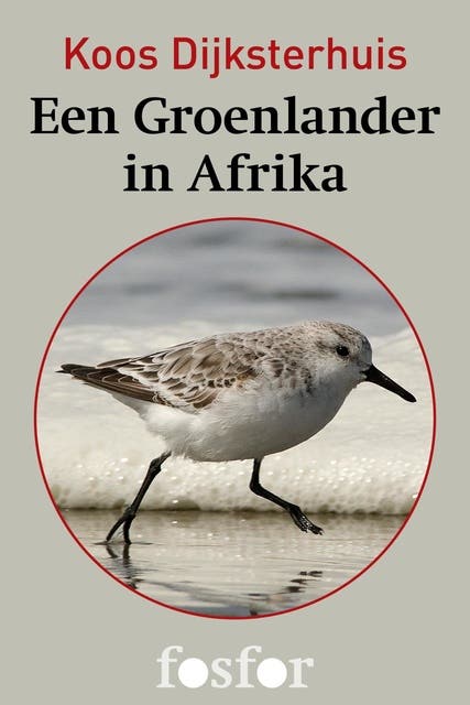 Een Groenlander in Afrika: de wonderbaarlijke reis van de drieteenstrandloper – omslag van het luisterboek van Koos Dijksterhuis