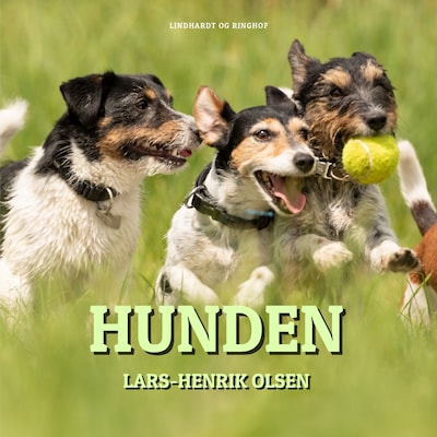 Hunden – omslag til lydbogen af Lars-Henrik Olsen
