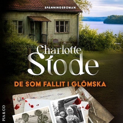 De som fallit i glömska – omslag till ljudboken av Charlotte Stode