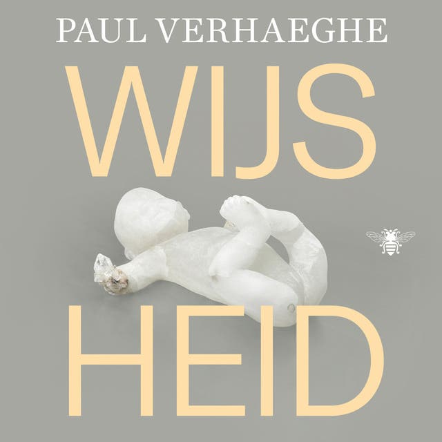 Wijsheid – omslag van het luisterboek van Paul Verhaeghe